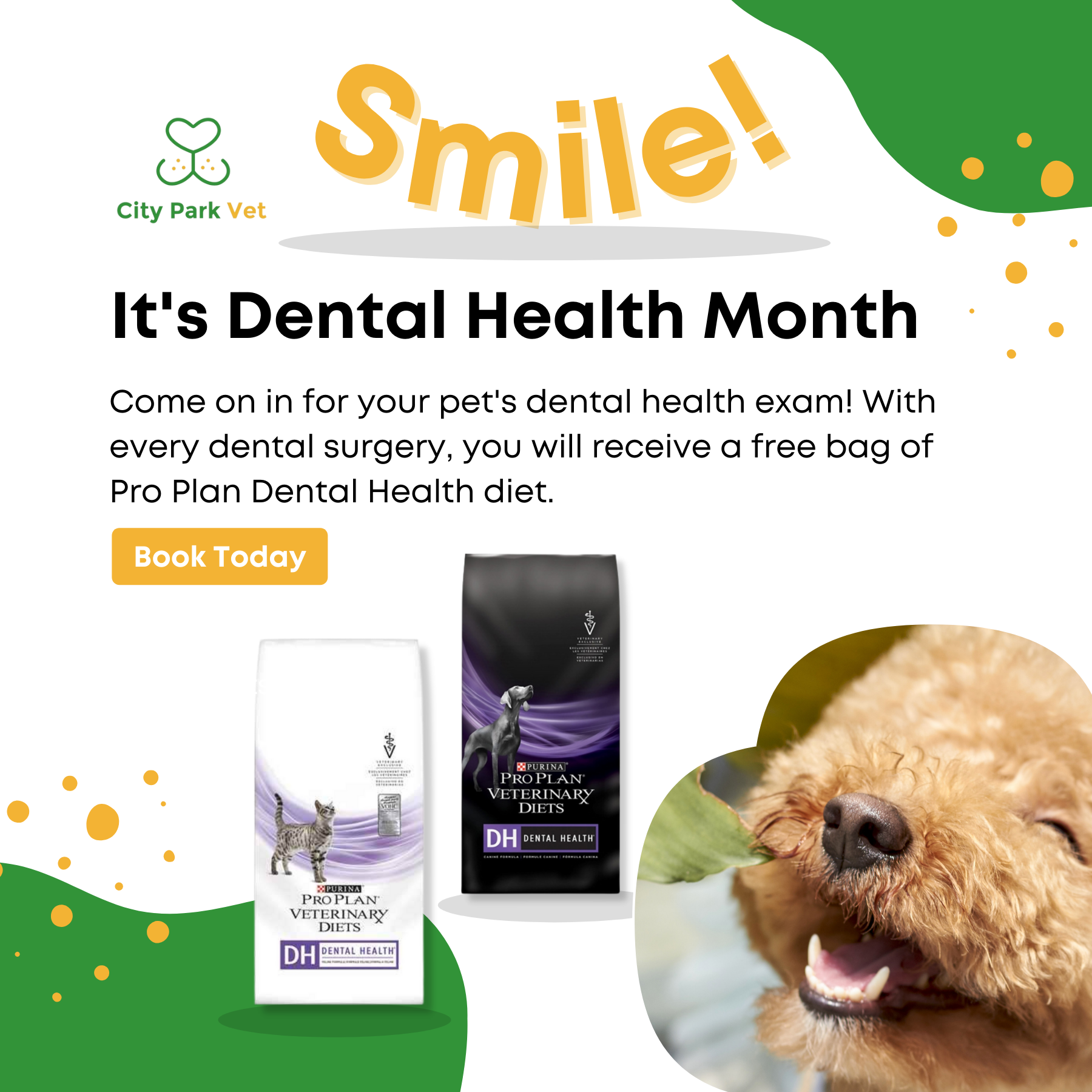dental health month special